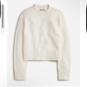 J Crew Rollneck Sweater